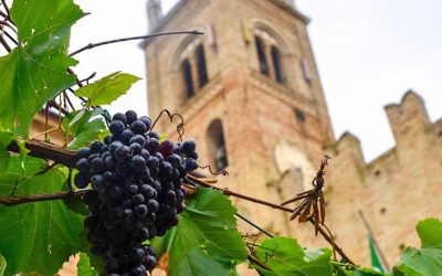 Feste di vendemmia: alla scoperta de “i sughitti” a Montecassiano