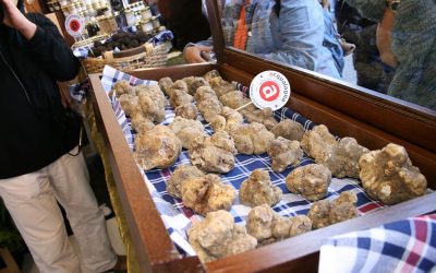 Nelle Alte Marche la cinquasettesima Fiera Nazionale del tartufo di Acqualagna