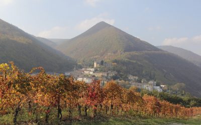 Appassimenti Aperti: benvenuti a Serrapetrona!