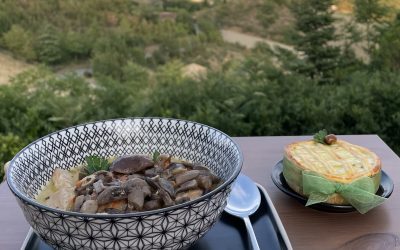 Il Grand Tour delle Marche fa tappa nelle Alte Marche con “Cagli, Terre del fungo”