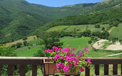 Green Community e Next Appennino: l’anno che verrà e il futuro possibile