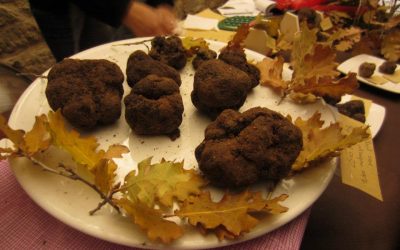 “Le Terre del Tartufo” a Pieve Torina