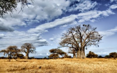 Tanzania, ospite ufficiale di Tipicità festival 2023