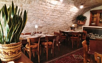 Grandi temi e sapori golosi, nella seconda settimana del Wine Tour delle Marche!